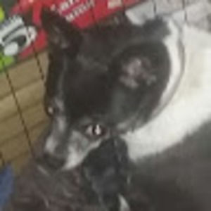 Meet your Posher, Joseph